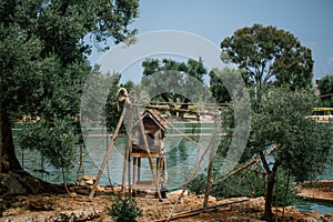 Monkeys in the zoo wildlife in Fasano apulia safari zoo Italy