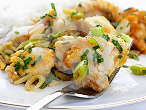 Monkfish in ginger with Spring onions and rice