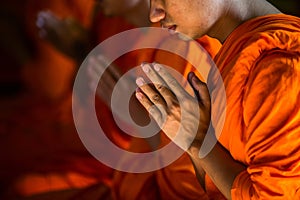Monks Praying at the Marble Temple in Bangkok, Thailand