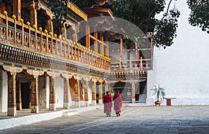 Monks at Punakha Dzong, Bhutan