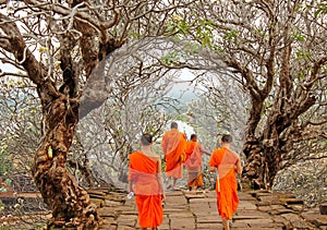 Monks at Wat Phu, Laos