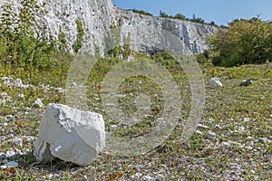 Monkton Chalk Quarry