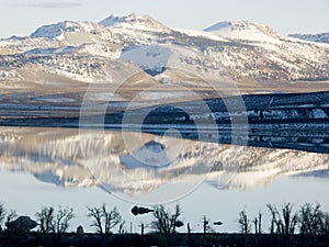 Mono Craters Reflection