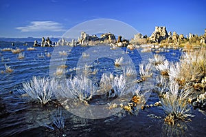 Mono Lake Beauty