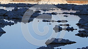 Mono lake california