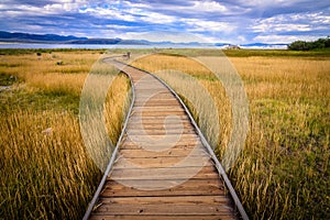 Mono Lake Catwalk photo