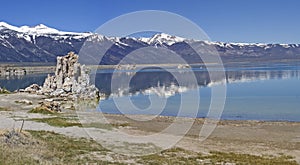 Mono Lake. Panorama.