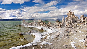 Mono Lake, Sierra Nevada, Environment California