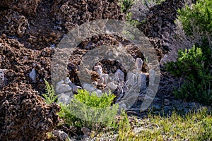 Mono Lake, South Tufa, Owens Valley, California