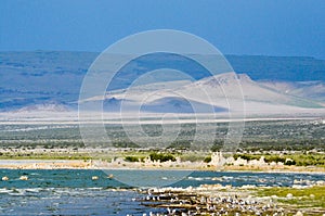 Mono Lake