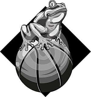 monochromatic Frog mascotte on a basket ball vector illustration photo