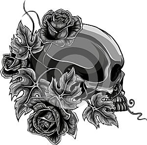 monochromatic human skulls with roses on white background