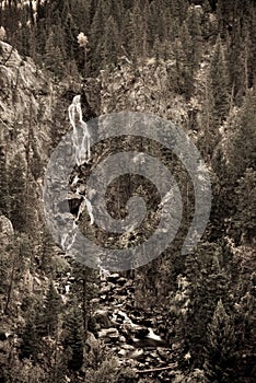 Sepia forest waterfall