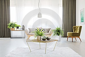 Monochromatic living room with ferns