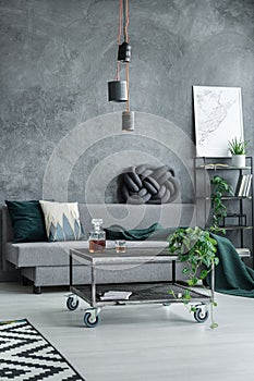 Monochromatic living room with sofa