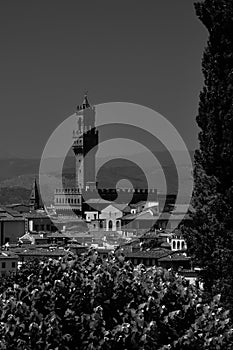 Palazzo Vecchio with tower view in Florence, Italy