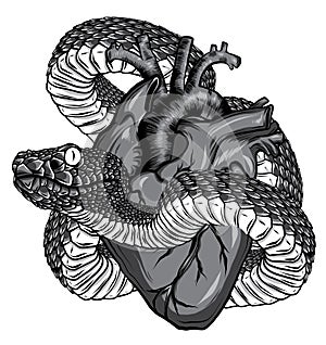 Monochromatic Snake and heart tattoo. Symbol of love, envy, evil t-shirt design vector