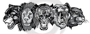 Monochromatic Wild Animals Heads Set. Lion, Tiger, Jaguar, Lynx - Vector Mascot Logo Design