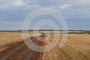 Monochrome autumn landscape. Cloudy sky, the boundless field. Open space, road, infinity