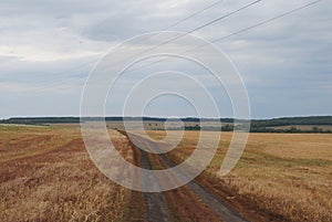 Monochrome autumn landscape. Cloudy sky, the boundless field. Open space, road, infinity