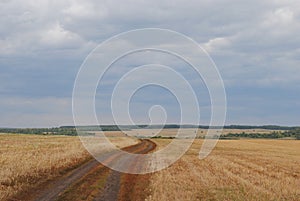 Monochrome autumn landscape. Cloudy sky, the boundless field. Open space, road, infinity