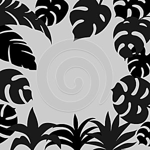 Monochrome background with hand-drawn tropical leaves silhouettes