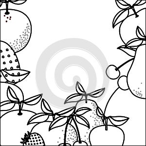 Monochrome background with tropical fruits