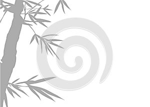 Monochrome Bamboo Silhouette Design. Elegant grayscale silhouette of bamboo branches against a soft white background, suitable for