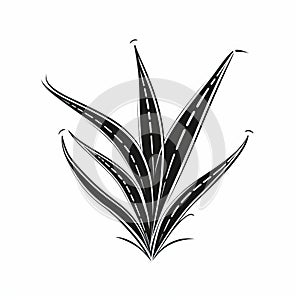 Monochrome Black Line Aloe Vera Logo On White Background