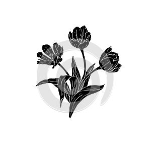 Monochrome black tulips flowers bouquet silhouette isolated on white