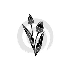 Monochrome black tulips flowers bouquet silhouette isolated on white