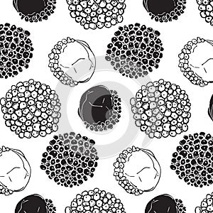 Monochrome black white tropical fruit pattern. Modern exotic decoration. Strange corcle lichee background.
