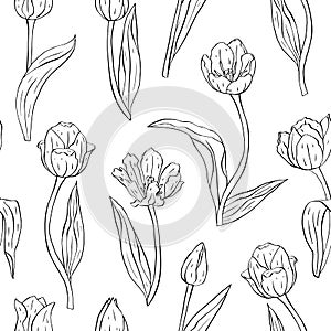 Monochrome black and white vintage seamless pattern with line art tulips flowers on white