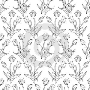 Monochrome black and white vintage seamless pattern with line art tulips flowers on white