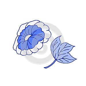 Monochrome blue floral chinoiserie style flower isolated on white background