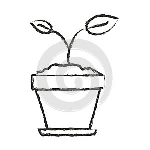 Monochrome blurred silhouette of small plant in flower pot in closeup