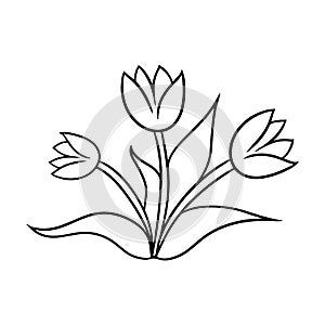 Monochrome bouquet of tulips with leaves, doodles, vector cartoon