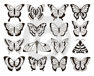 Monochrome butterflies. Black and white drawing, hand drawn tattoo shapes vintage collection. Vector butterfly isolated