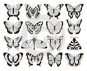 Monochrome butterflies. Black and white drawing, hand drawn tattoo shapes vintage collection. Vector butterfly isolated photo