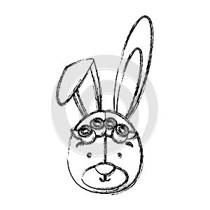 Monochrome contour blurr with face of bride rabbit photo