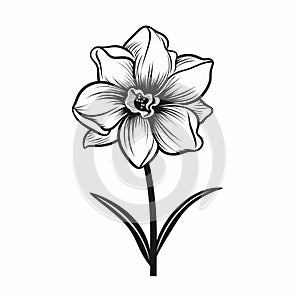 Monochrome Daffodil Illustration: Graphic Symbolism On Black Background