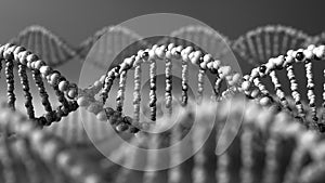 Monochrome DNA molecules. Genetic disease, modern science or molecular diagnostics concepts. 3D rendering