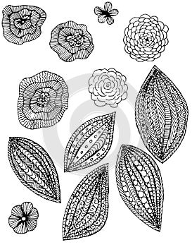 Monochrome floral doodle set, thin black line on white hand drawn