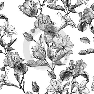 Monochrome floral seamless pattern with watercolor irises, tulips, narcissus and white flowers