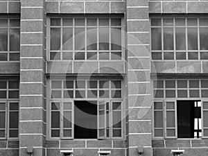 Monochrome grid line building