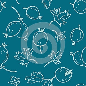 Monochrome grunge seamless pattern with gooseberry berries. Perfect print for tee, paper, textile and fabric. Doodle vector
