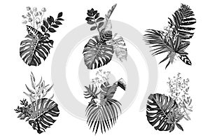 6 monochrome hand drawn bouquetes with tropical leaves and plants photo