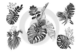 5 monochrome hand drawn bouquetes with tropical leaves and plants photo