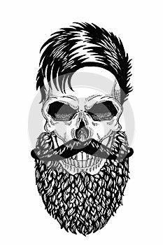 Monochrome illustration barbershop of skull with beard, mustache, hipster haircut and on white background, cartoon