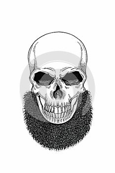 Monochrome illustration barbershop of skull with beard, mustache, hipster haircut and on white background, cartoon